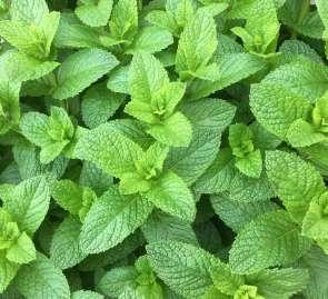 Laboratory Testing Instruments