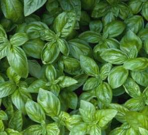 Material testing equipments